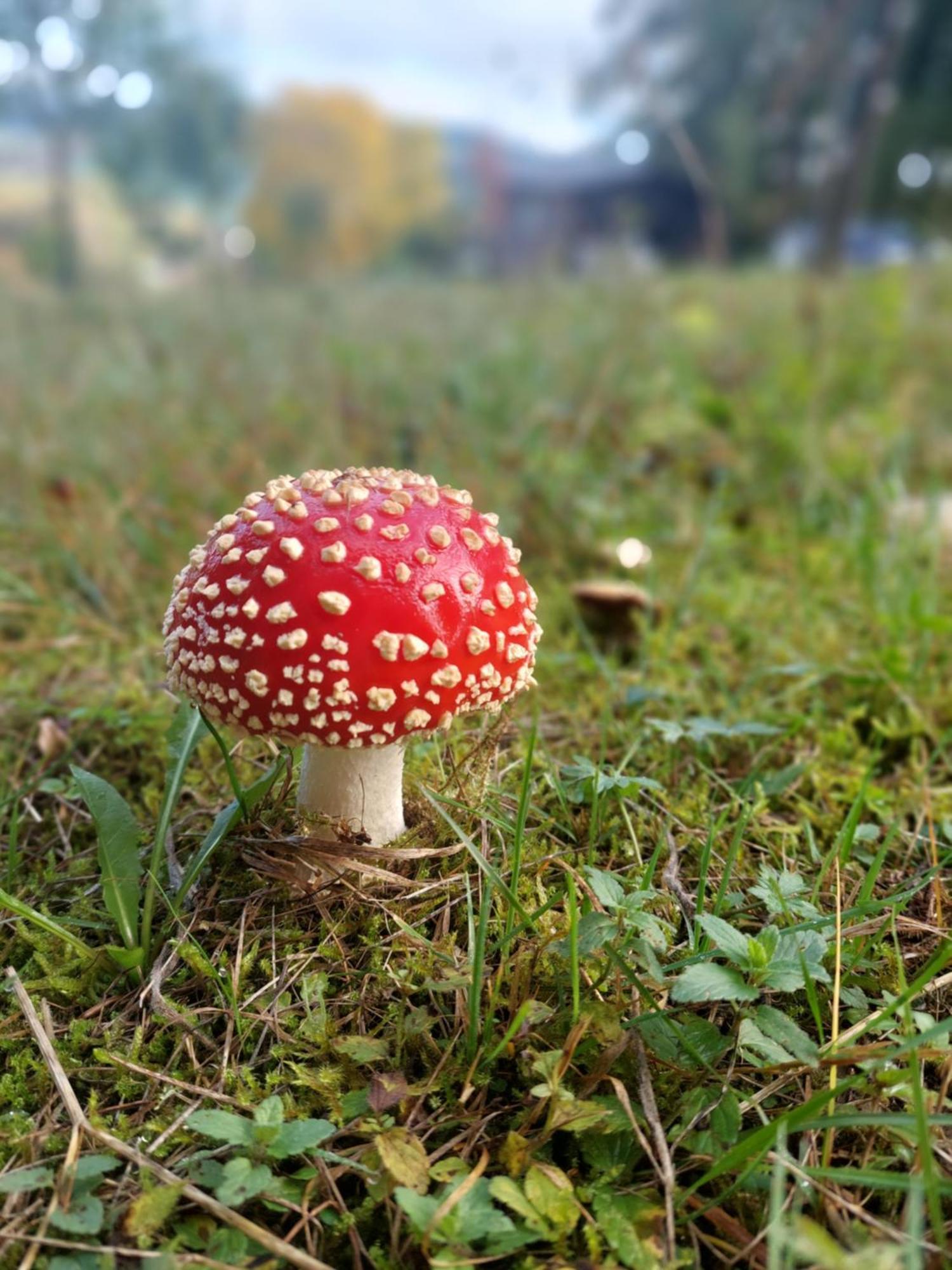 Chata Na Samote, Sumava Vrhavec Eksteriør bilde