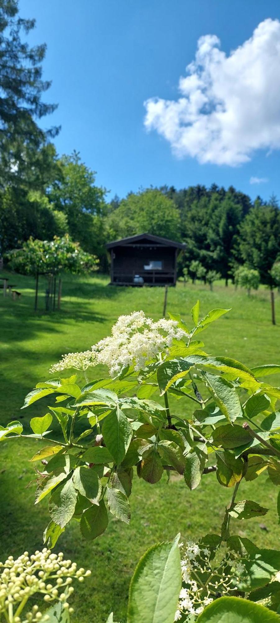 Chata Na Samote, Sumava Vrhavec Eksteriør bilde